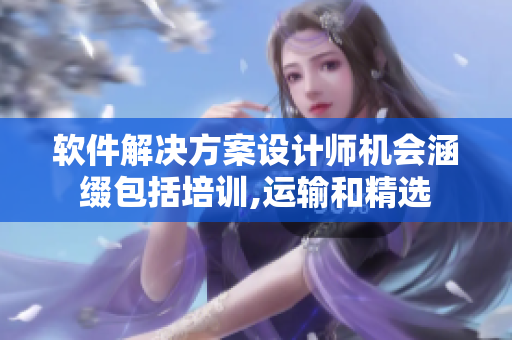 軟件解決方案設計師機會涵綴包括培訓,運輸和精選