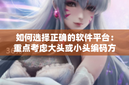 如何選擇正確的軟件平臺(tái)：重點(diǎn)考慮大頭或小頭編碼方式？