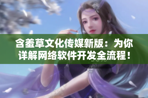 含羞草文化傳媒新版：為你詳解網(wǎng)絡軟件開發(fā)全流程！