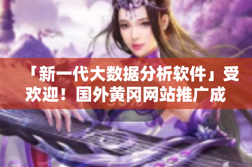 「新一代大數(shù)據(jù)分析軟件」受歡迎！國外黃岡網站推廣成功之秘密