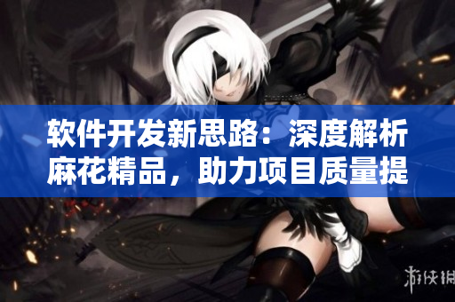 軟件開發(fā)新思路：深度解析麻花精品，助力項目質(zhì)量提升