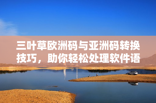 三葉草歐洲碼與亞洲碼轉(zhuǎn)換技巧，助你輕松處理軟件語言編碼