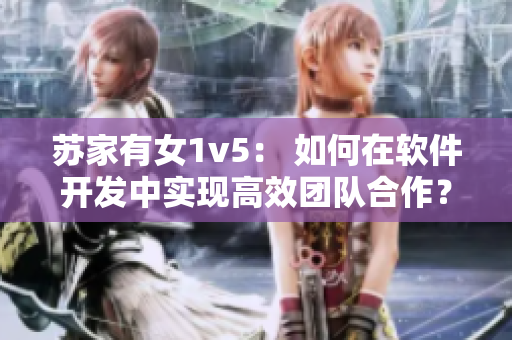 蘇家有女1v5： 如何在軟件開發(fā)中實現(xiàn)高效團隊合作？