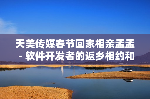 天美傳媒春節(jié)回家相親孟孟 - 軟件開發(fā)者的返鄉(xiāng)相約和尚重修IT界