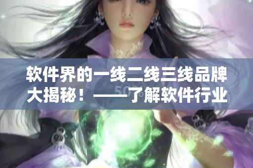 軟件界的一線二線三線品牌大揭秘！——了解軟件行業(yè)中品牌排名的秘密