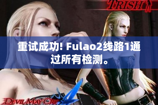 重試成功! Fulao2線路1通過所有檢測。