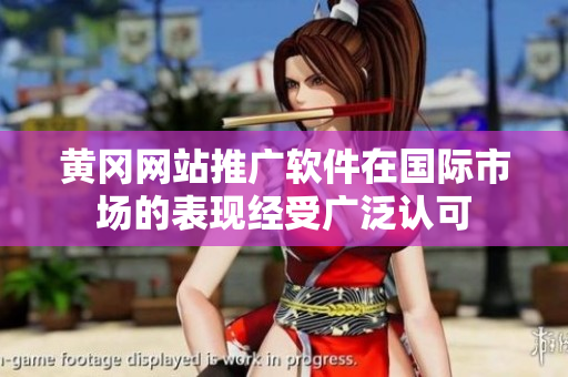 黃岡網(wǎng)站推廣軟件在國(guó)際市場(chǎng)的表現(xiàn)經(jīng)受廣泛認(rèn)可