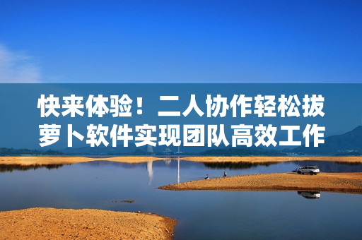 快來體驗！二人協(xié)作輕松拔蘿卜軟件實現(xiàn)團(tuán)隊高效工作