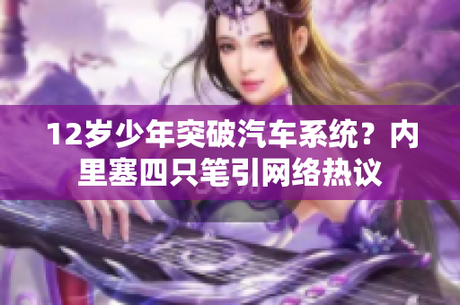 12歲少年突破汽車系統(tǒng)？?jī)?nèi)里塞四只筆引網(wǎng)絡(luò)熱議