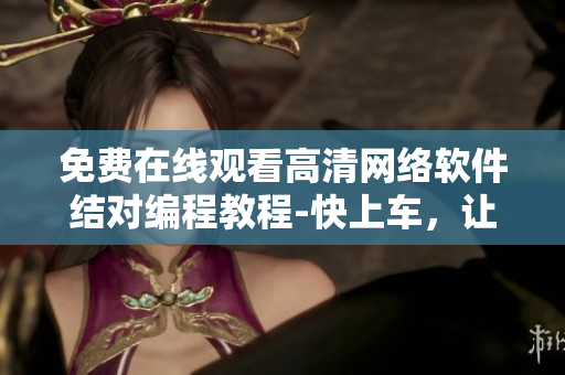 免費(fèi)在線觀看高清網(wǎng)絡(luò)軟件結(jié)對編程教程-快上車，讓我們做兄弟吧