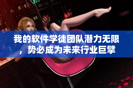 我的軟件學(xué)徒團(tuán)隊潛力無限，勢必成為未來行業(yè)巨擘