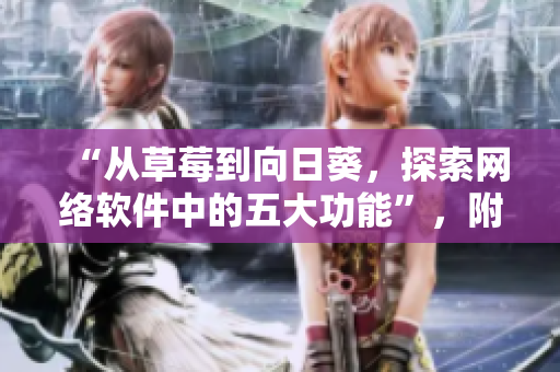 “從草莓到向日葵，探索網(wǎng)絡軟件中的五大功能”，附帶留言反饋
