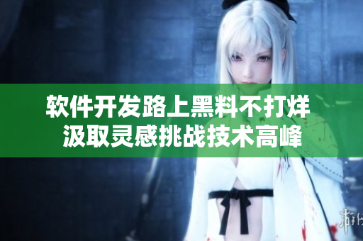 軟件開發(fā)路上黑料不打烊 汲取靈感挑戰(zhàn)技術高峰