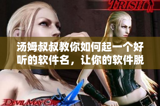 湯姆叔叔教你如何起一個(gè)好聽(tīng)的軟件名，讓你的軟件脫穎而出！