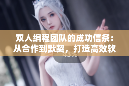 雙人編程團(tuán)隊(duì)的成功信條：從合作到默契，打造高效軟件開發(fā)模式！
