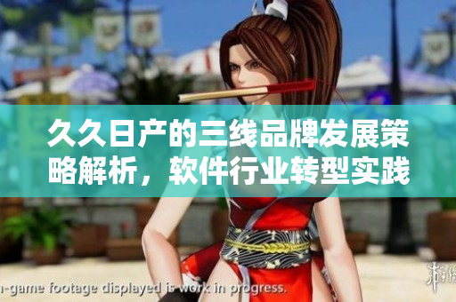 久久日產(chǎn)的三線品牌發(fā)展策略解析，軟件行業(yè)轉(zhuǎn)型實(shí)踐總結(jié)