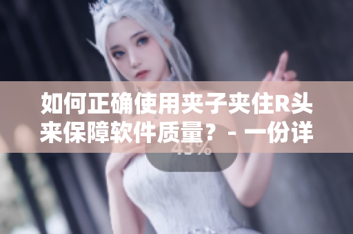 如何正確使用夾子夾住R頭來保障軟件質(zhì)量？- 一份詳實(shí)指南