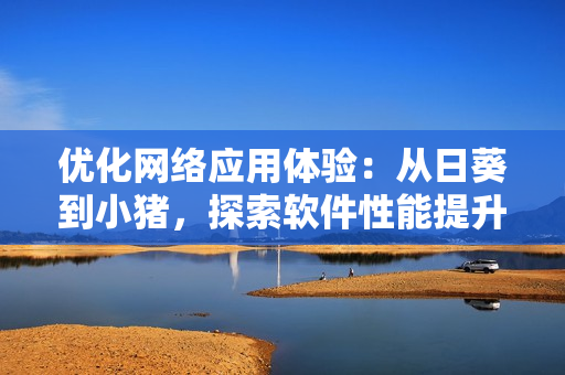優(yōu)化網(wǎng)絡(luò)應(yīng)用體驗：從日葵到小豬，探索軟件性能提升之路
