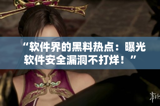 “軟件界的黑料熱點(diǎn)：曝光軟件安全漏洞不打烊！”