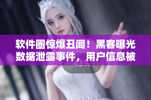 軟件圈驚爆丑聞！黑客曝光數(shù)據(jù)泄露事件，用戶信息被公開售賣！