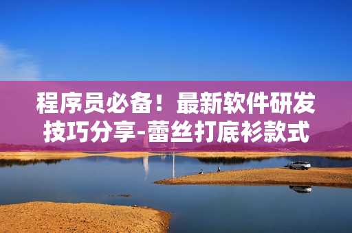 程序員必備！最新軟件研發(fā)技巧分享-蕾絲打底衫款式大揭秘