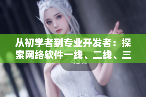 從初學(xué)者到專業(yè)開(kāi)發(fā)者：探索網(wǎng)絡(luò)軟件一線、二線、三線品牌