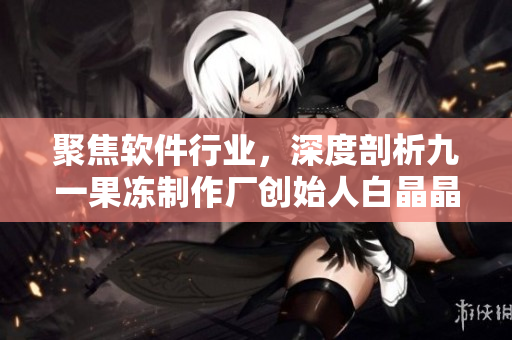 聚焦軟件行業(yè)，深度剖析九一果凍制作廠創(chuàng)始人白晶晶的個(gè)人履歷
