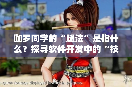 伽羅同學(xué)的“腿法”是指什么？探尋軟件開發(fā)中的“技法”