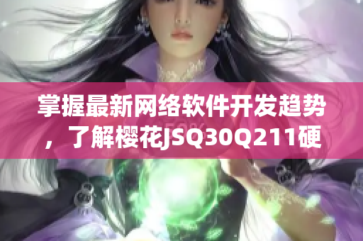 掌握最新網(wǎng)絡(luò)軟件開發(fā)趨勢(shì)，了解櫻花JSQ30Q211硬件與軟件技術(shù)