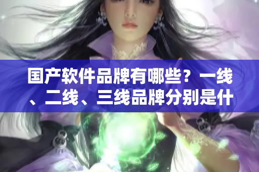 國(guó)產(chǎn)軟件品牌有哪些？一線、二線、三線品牌分別是什么？
