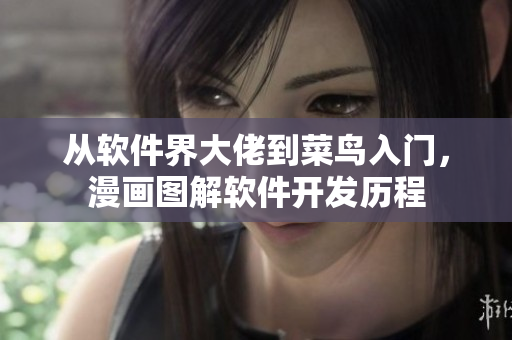 從軟件界大佬到菜鳥入門，漫畫圖解軟件開發(fā)歷程