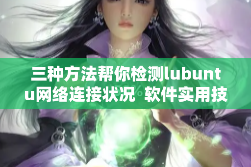三種方法幫你檢測(cè)lubuntu網(wǎng)絡(luò)連接狀況  軟件實(shí)用技巧