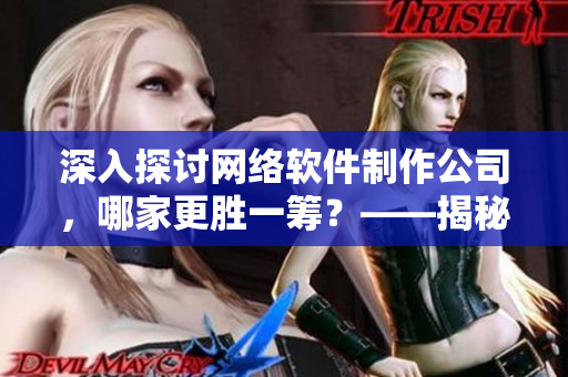 深入探討網(wǎng)絡(luò)軟件制作公司，哪家更勝一籌？——揭秘最佳選手