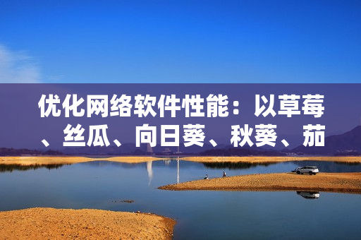 優(yōu)化網(wǎng)絡(luò)軟件性能：以草莓、絲瓜、向日葵、秋葵、茄子為例的技巧與實踐
