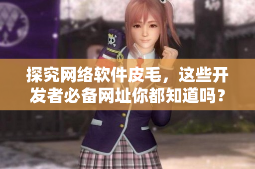 探究網(wǎng)絡(luò)軟件皮毛，這些開發(fā)者必備網(wǎng)址你都知道嗎？
