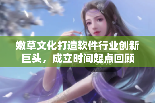 嫩草文化打造軟件行業(yè)創(chuàng)新巨頭，成立時間起點回顧