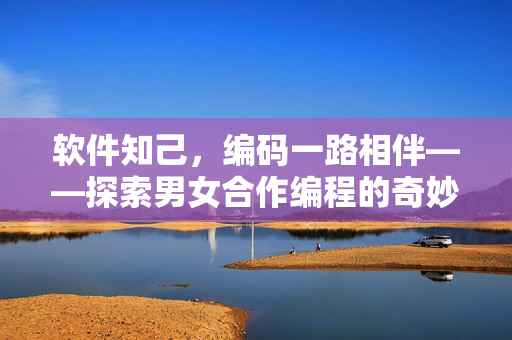 軟件知己，編碼一路相伴——探索男女合作編程的奇妙之旅