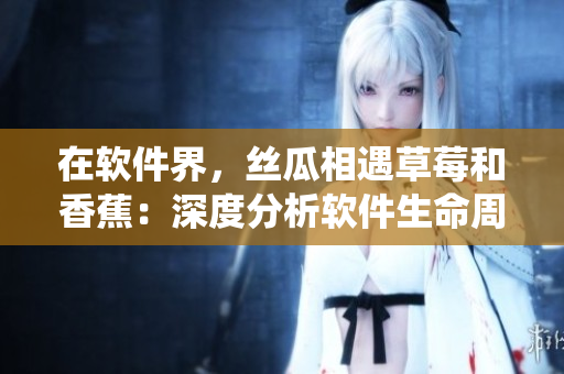 在軟件界，絲瓜相遇草莓和香蕉：深度分析軟件生命周期管理系統(tǒng)
