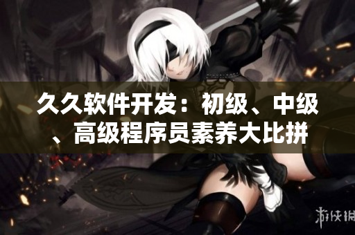 久久軟件開發(fā)：初級、中級、高級程序員素養(yǎng)大比拼