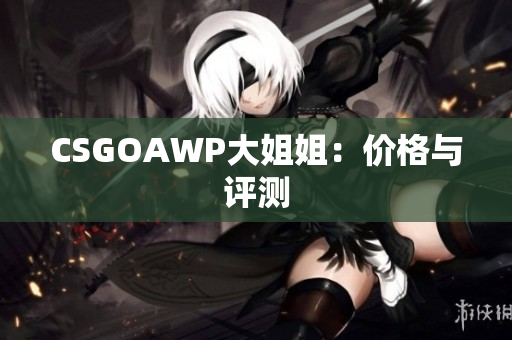 CSGOAWP大姐姐：價格與評測
