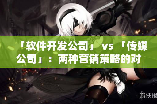 「軟件開發(fā)公司」 vs 「傳媒公司」：兩種營銷策略的對比