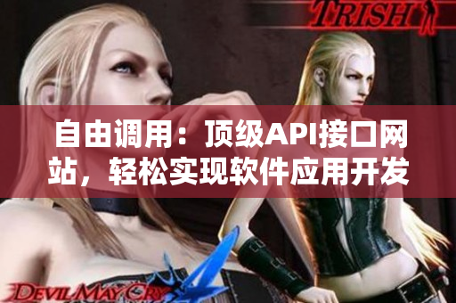 自由調(diào)用：頂級API接口網(wǎng)站，輕松實(shí)現(xiàn)軟件應(yīng)用開發(fā)