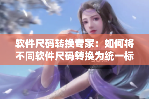 軟件尺碼轉(zhuǎn)換專家：如何將不同軟件尺碼轉(zhuǎn)換為統(tǒng)一標準？