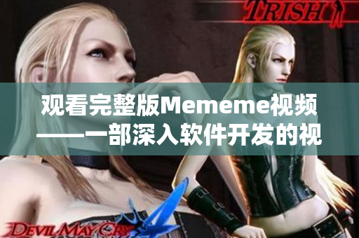 觀看完整版Mememe視頻——一部深入軟件開發(fā)的視角分析故事。