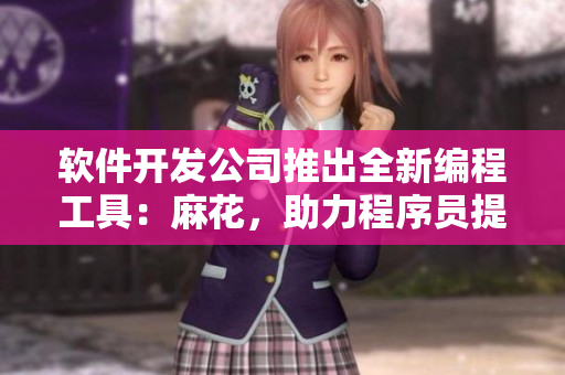 軟件開發(fā)公司推出全新編程工具：麻花，助力程序員提高效率
