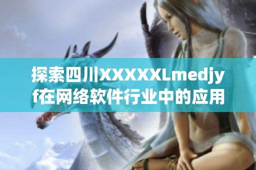 探索四川XXXXXLmedjyf在網(wǎng)絡軟件行業(yè)中的應用與挑戰(zhàn)