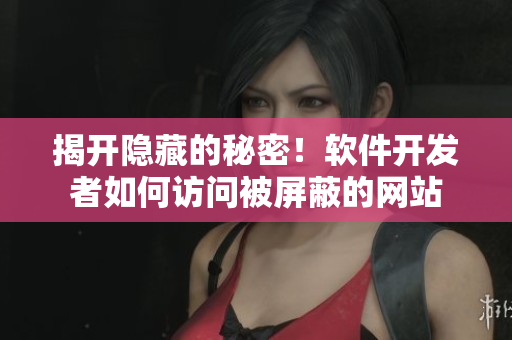 揭開(kāi)隱藏的秘密！軟件開(kāi)發(fā)者如何訪問(wèn)被屏蔽的網(wǎng)站