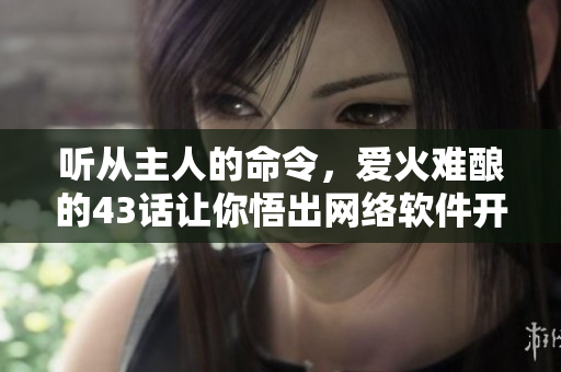 聽從主人的命令，愛火難釀的43話讓你悟出網(wǎng)絡(luò)軟件開發(fā)精髓