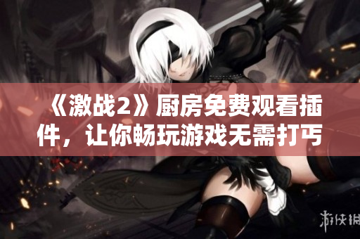 《激戰(zhàn)2》廚房免費觀看插件，讓你暢玩游戲無需打丐賽