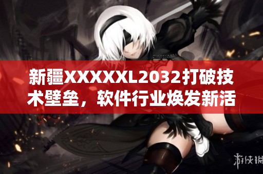新疆XXXXXL2032打破技術(shù)壁壘，軟件行業(yè)煥發(fā)新活力